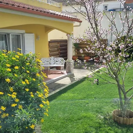 Casa Palmas 4*