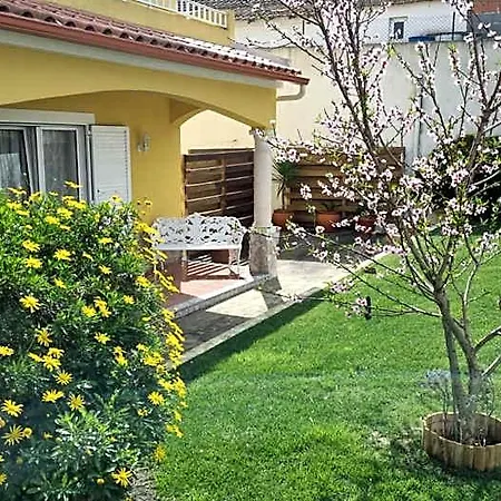 Casa Palmas Bed & Breakfast